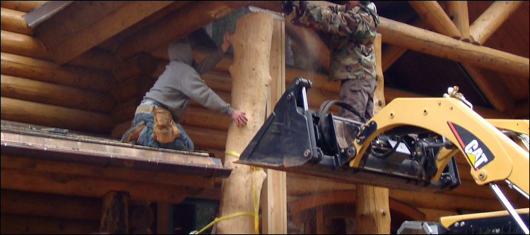 Log Home Log Replacement  Belmont County, Ohio